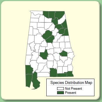 Species Distribution Map