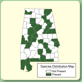 Species Distribution Map