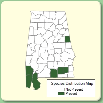 Species Distribution Map