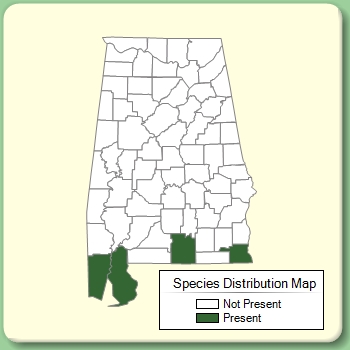 Species Distribution Map