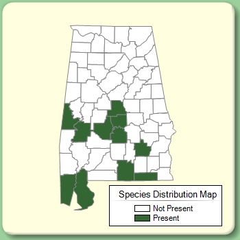 Species Distribution Map