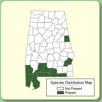 Species Distribution Map