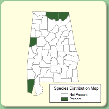 Species Distribution Map