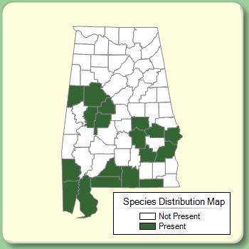 Species Distribution Map