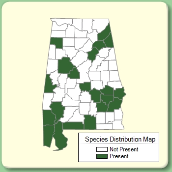 Species Distribution Map