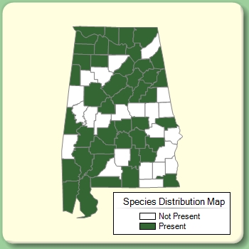 Species Distribution Map