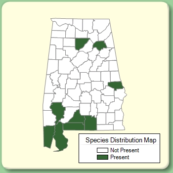 Species Distribution Map