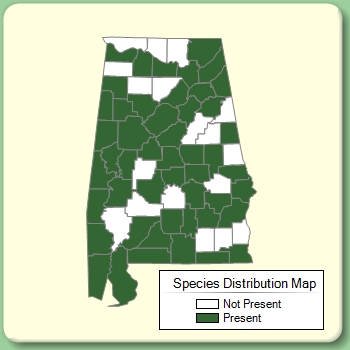 Species Distribution Map