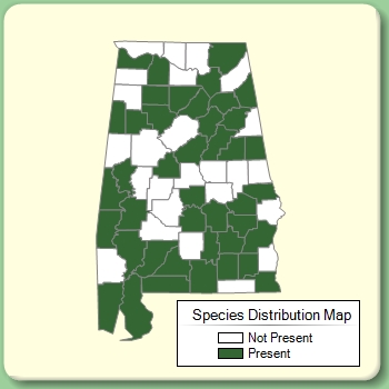 Species Distribution Map