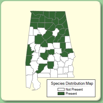 Species Distribution Map