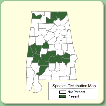 Species Distribution Map