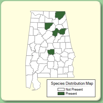 Species Distribution Map