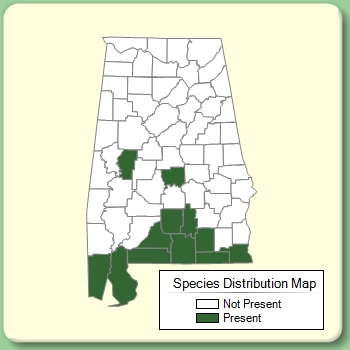 Species Distribution Map