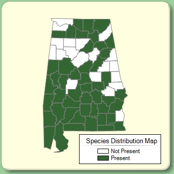 Species Distribution Map