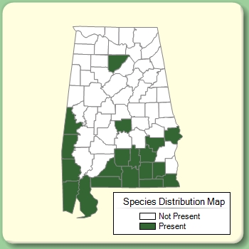 Species Distribution Map