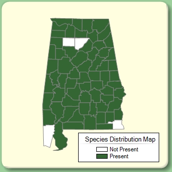 Species Distribution Map