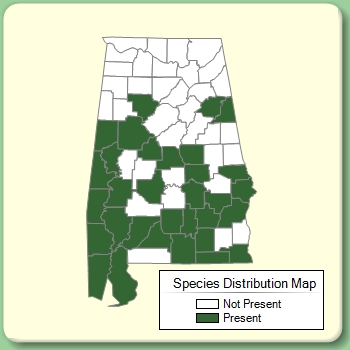 Species Distribution Map