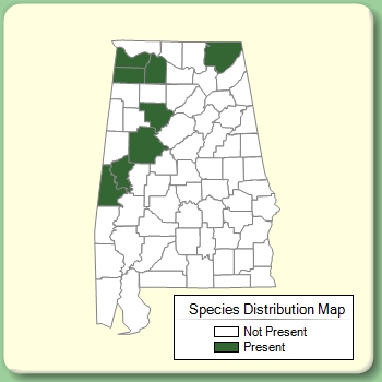 Species Distribution Map