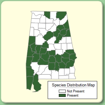 Species Distribution Map