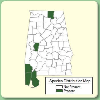 Species Distribution Map