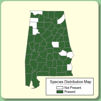 Species Distribution Map