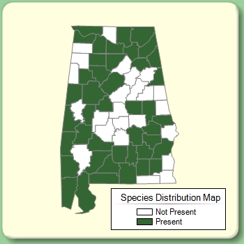 Species Distribution Map