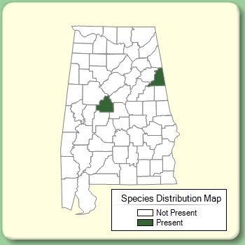 Species Distribution Map