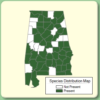 Species Distribution Map