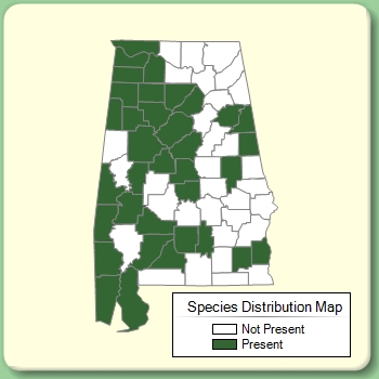 Species Distribution Map