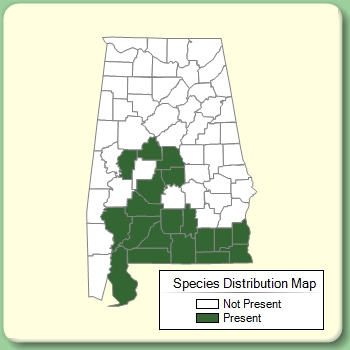 Species Distribution Map