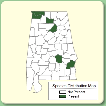 Species Distribution Map