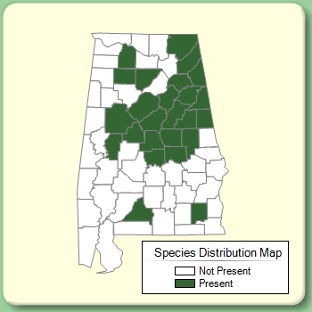 Species Distribution Map