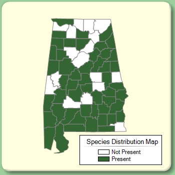 Species Distribution Map