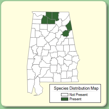 Species Distribution Map