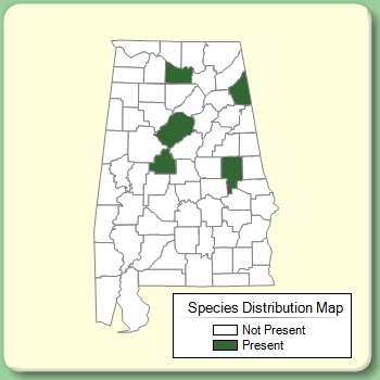 Species Distribution Map