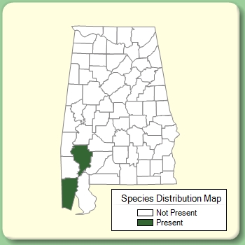 Species Distribution Map