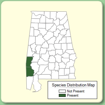 Species Distribution Map