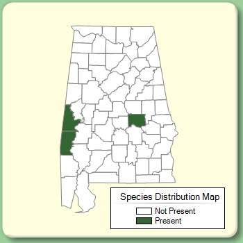 Species Distribution Map