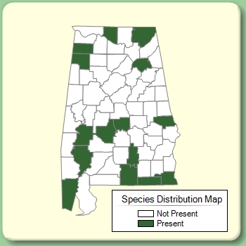 Species Distribution Map