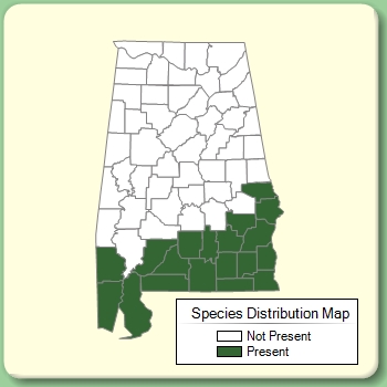 Species Distribution Map