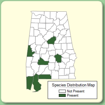 Species Distribution Map