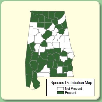 Species Distribution Map