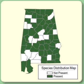 Species Distribution Map