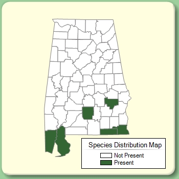 Species Distribution Map