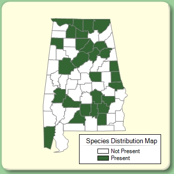 Species Distribution Map