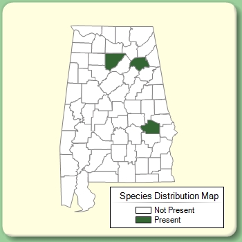 Species Distribution Map