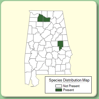 Species Distribution Map