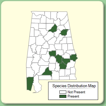 Species Distribution Map