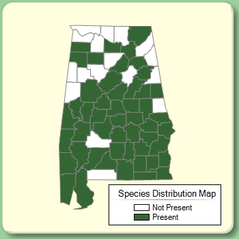 Species Distribution Map