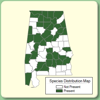 Species Distribution Map